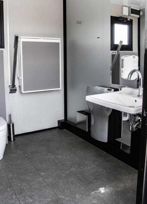 Lavabo e asciugamani in stanza da bagno per disabili